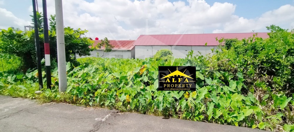 Alfa Property Tanah Jalan Parit Haji Husin 1 Gg. Sejahtera Kota Pontianak