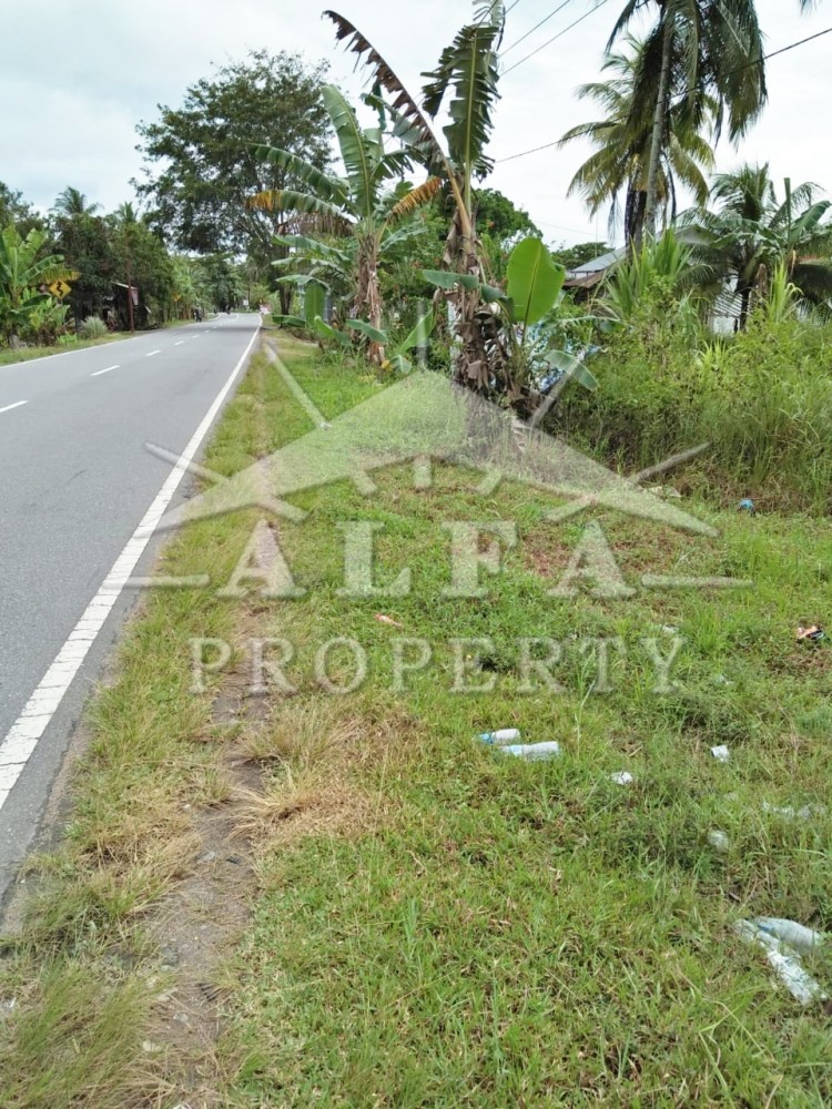 Alfa Property Tanah Jalan Mempawah Hilir Kalimantan Barat