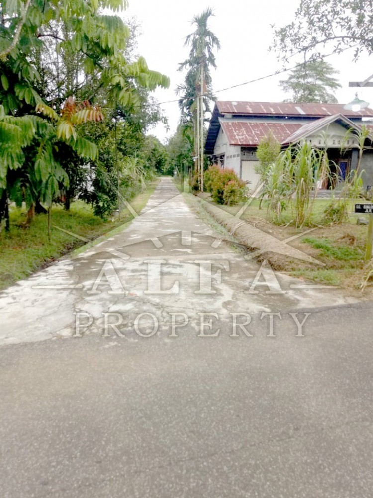 Alfa Property Tanah Gg. Ringin Sari Kota Pontianak
