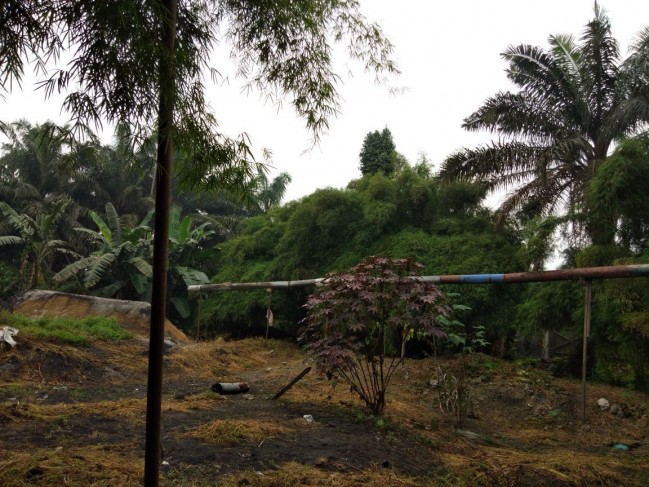 Dijual kilang padi
