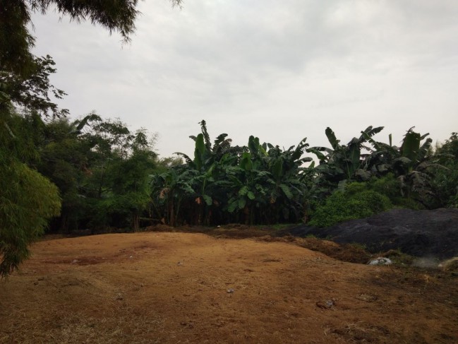 Dijual kilang padi