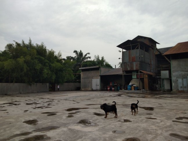 Dijual kilang padi