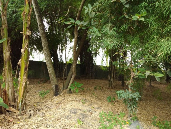 Dijual kilang padi