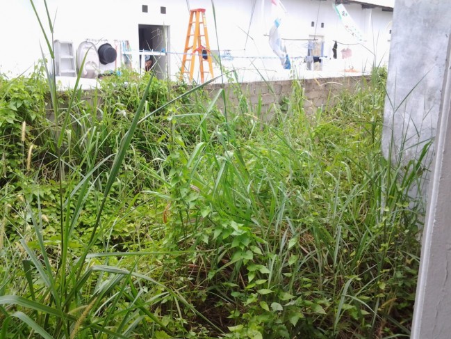 DIJUAL KIOS GRAHA PERMATA INDAH TIBAN