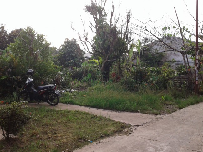 dijual cepat rumah dan tanah serdam kubu raya