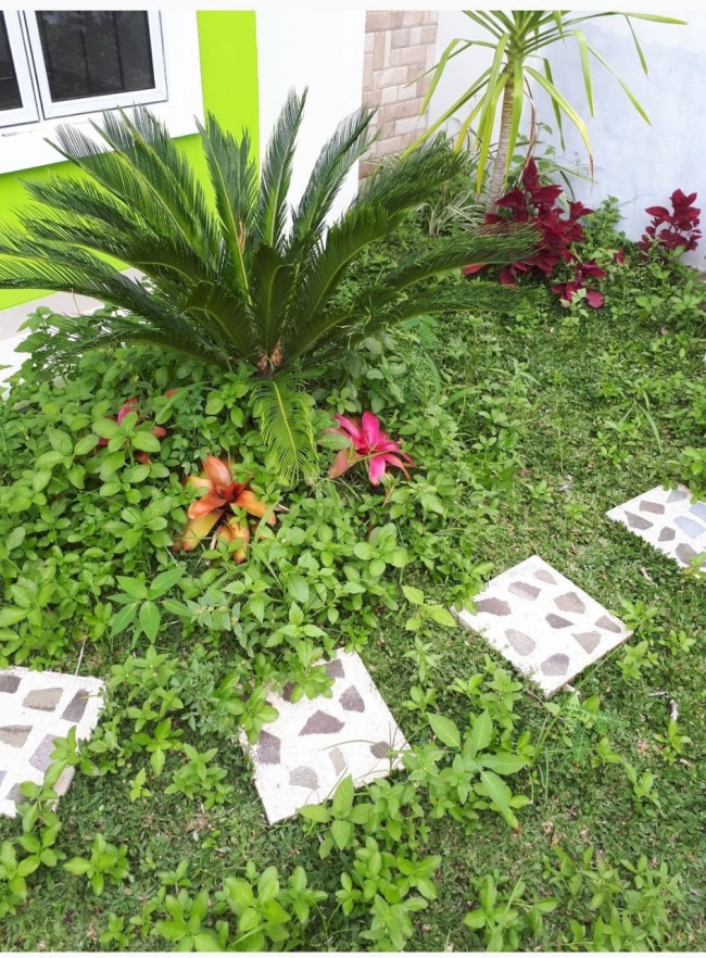 dijual cepat rumah siap huni