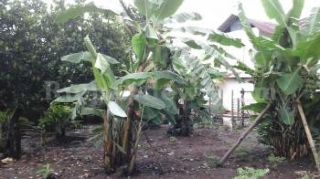 Rumah di Teling Atas Manado