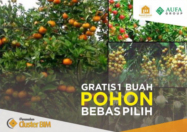 Cluster Syariah Exclusive dekat Bandara BIM Padang, Bonus Taman dan Pohon Kurma