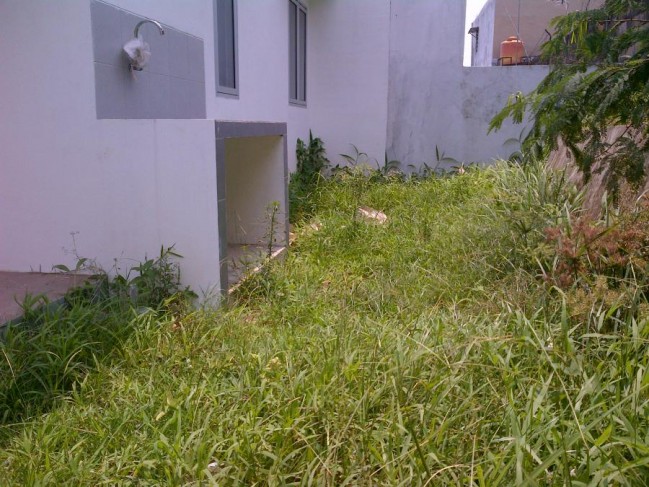 Rumah Baru Siap Huni Tipe 3 Kamar Tanah Luas 152 M2 Ready Stock Harga Nego