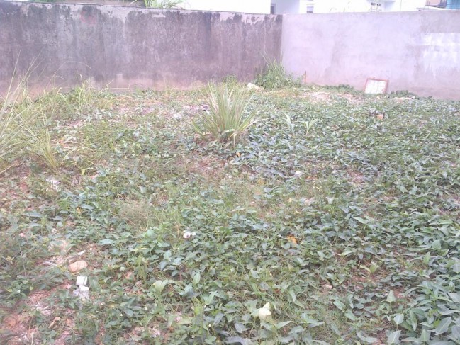 Rumah Baru Dua Lantai Dengan Tanah Sangat Luas Untuk Penambahan Bangunan Harga Nego