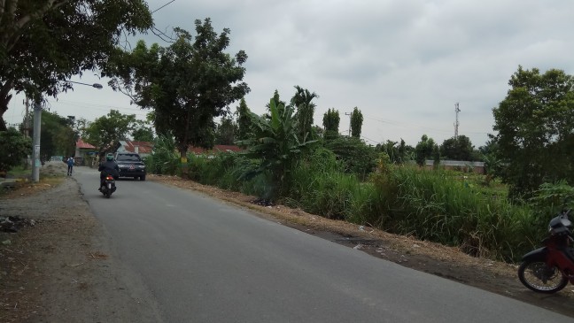 tanah kosong tepi jalanj