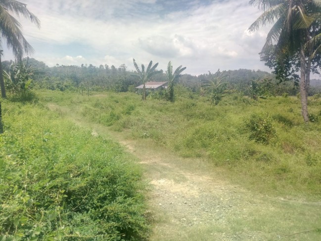Tanah kosong daerah strategis