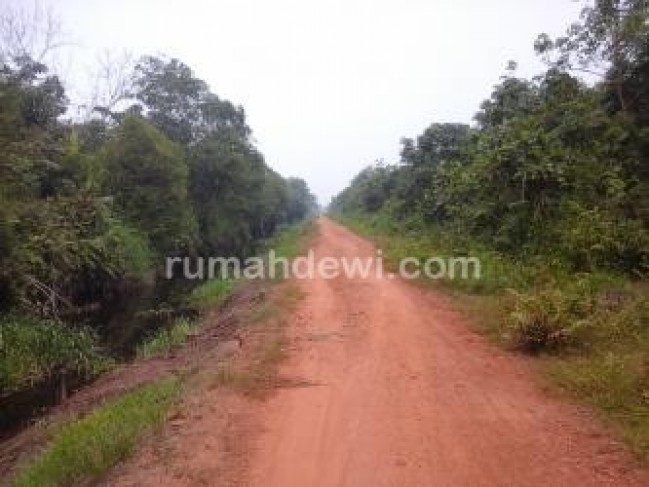 Tanah Kosong di Mega Timur, Kubu Raya