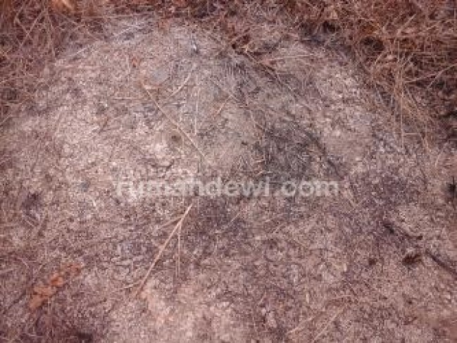 Tanah Kosong di Mega Timur, Kubu Raya