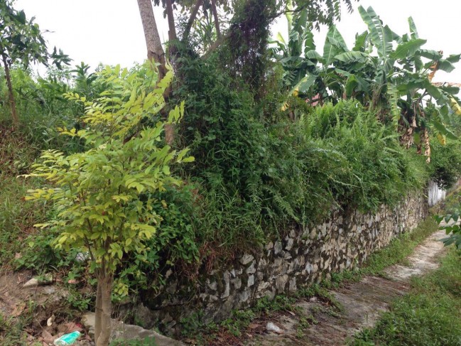 Tanah Strategis Lokasi Tengah Kota