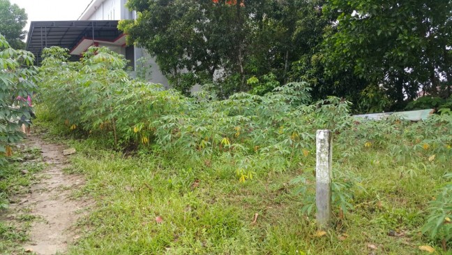 Tanah Dekat BDI