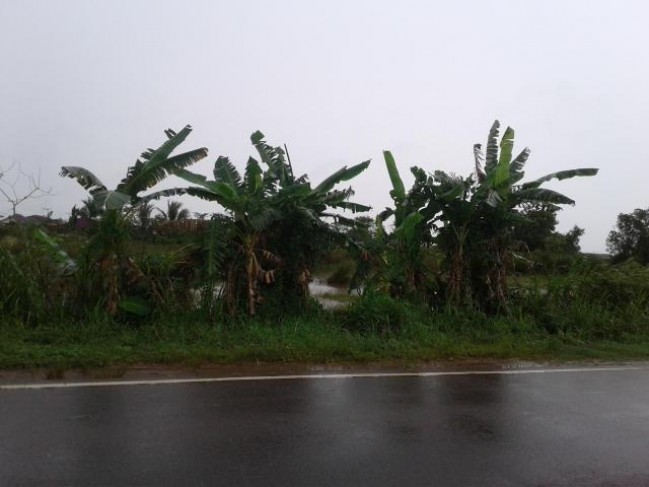 Dijual Sebidang Tanah Cocok Untuk Dibangun Perumahan