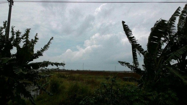 Tanah Siap Bangun Pabrik Gudang di Jalan Raya Sayung Demak