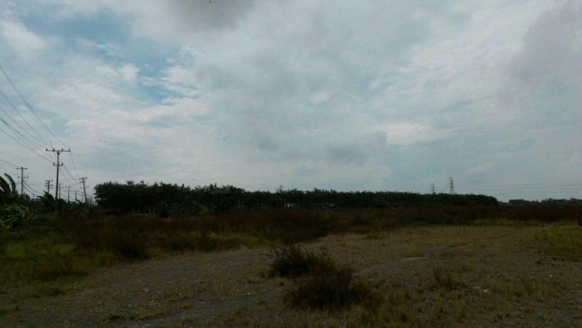 Tanah Siap Bangun Pabrik Gudang di Jalan Raya Sayung Demak