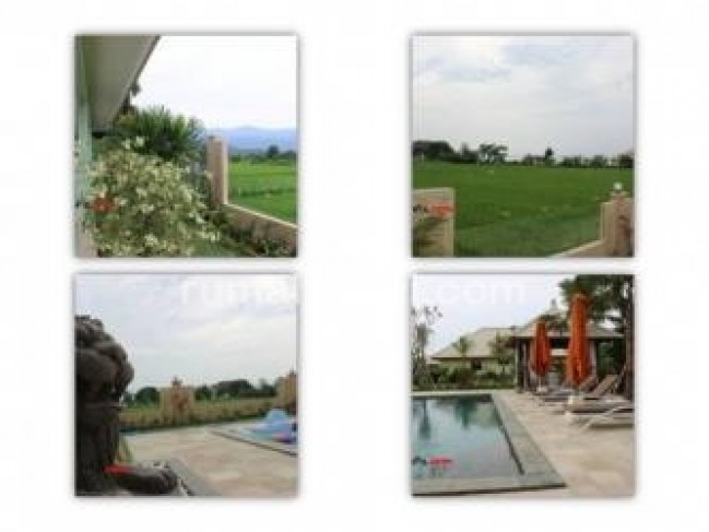 Dijual Villa Baru Super VIEW PADI PANTAI GUNUNG dekat LOVINA Bali