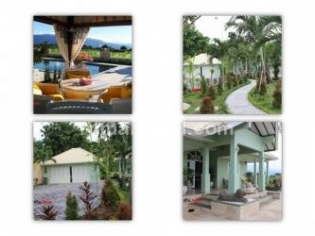 Dijual Villa Baru Super VIEW PADI PANTAI GUNUNG dekat LOVINA Bali