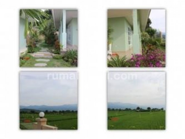 Dijual Villa Baru Super VIEW PADI PANTAI GUNUNG dekat LOVINA Bali