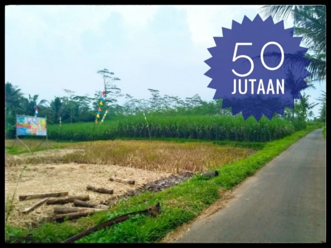 Tanah Kavling Pinggir Jalan Ngajum Kepanjen Malang Bisa Diangsur