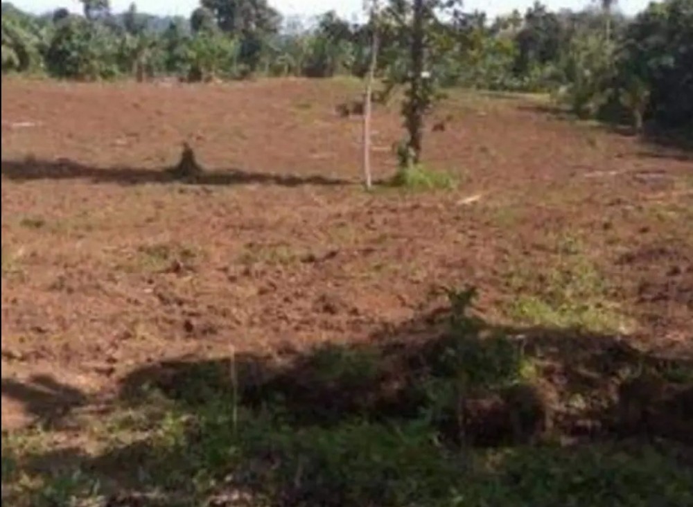 Tanah di Wusa Samratulangi Harga 50rb/m² cocok untuk investasi