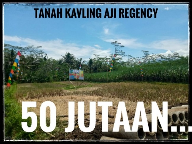 Tanah Ukuran 60 Pinggir Jalan Palaan Ngajum Malang