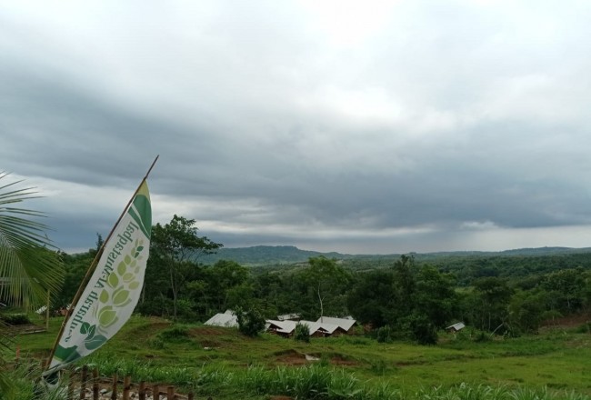 Kavling produktif penggemukan domba di purwakarta