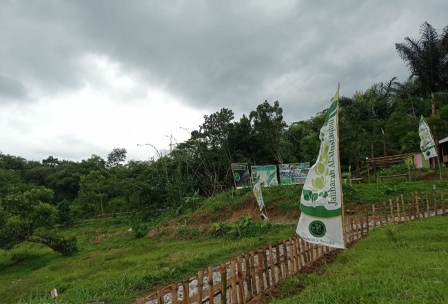 Kavling produktif penggemukan domba di purwakarta