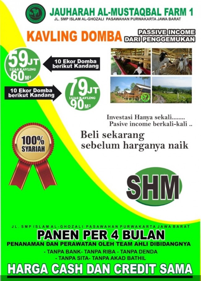 Kavling produktif penggemukan domba di purwakarta