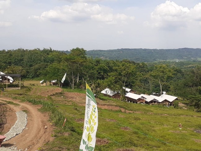 Kavling produktif penggemukan domba di purwakarta